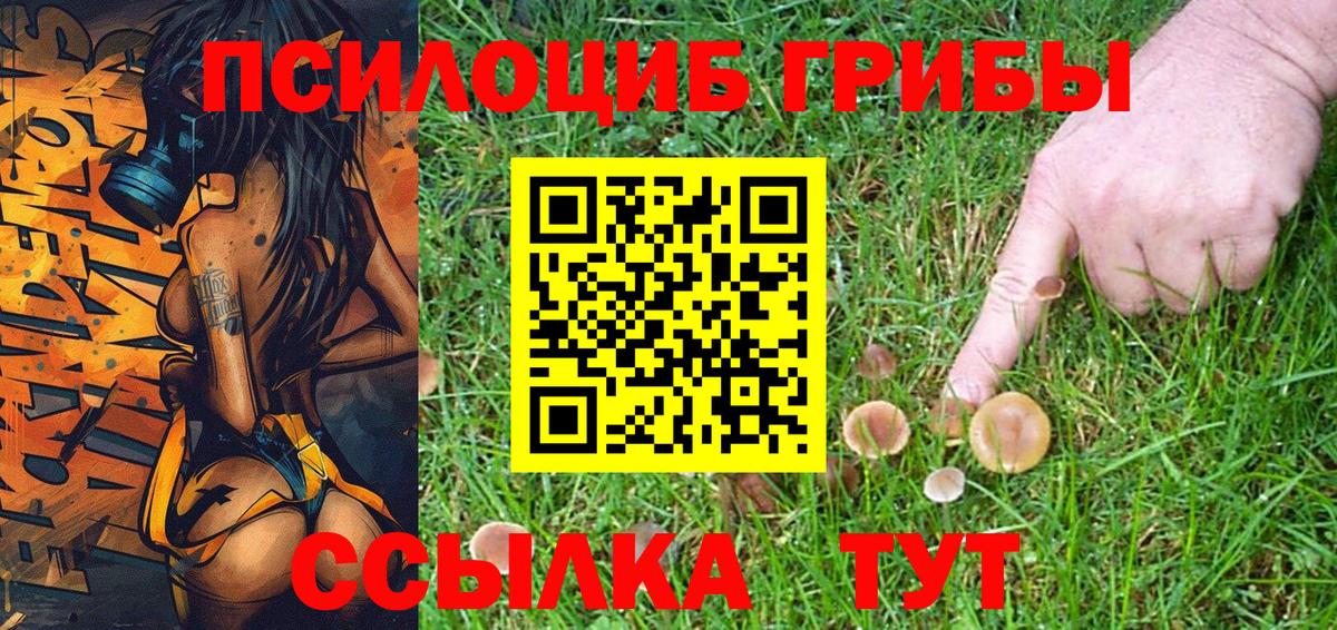 Псилоцибиновые грибы Cubensis Усолье-Сибирское